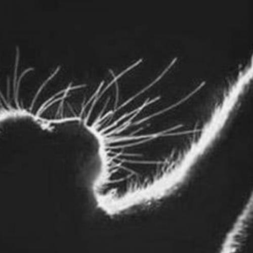 สมาชิกหมายเลข 6118198