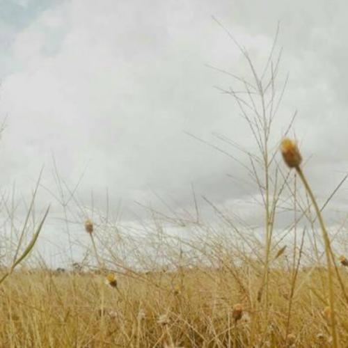 สมาชิกหมายเลข 6711641