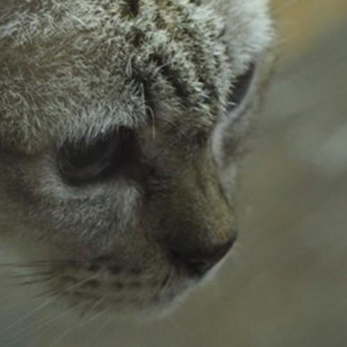 สมาชิกหมายเลข 6797272