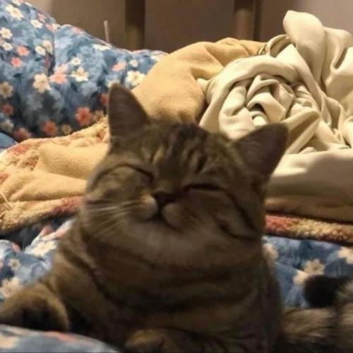 สมาชิกหมายเลข 6797671