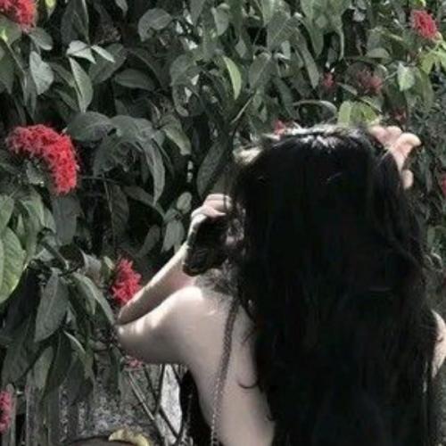 สมาชิกหมายเลข 7555029