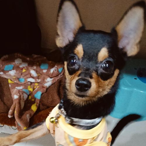 สมาชิกหมายเลข 5576931