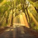 สมาชิกหมายเลข 1205831