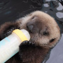 สมาชิกหมายเลข 4474318