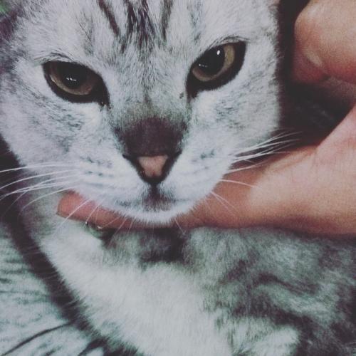 สมาชิกหมายเลข 1073373