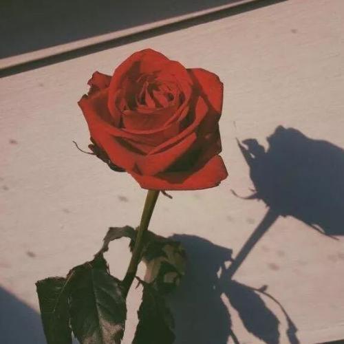 สมาชิกหมายเลข 5191412