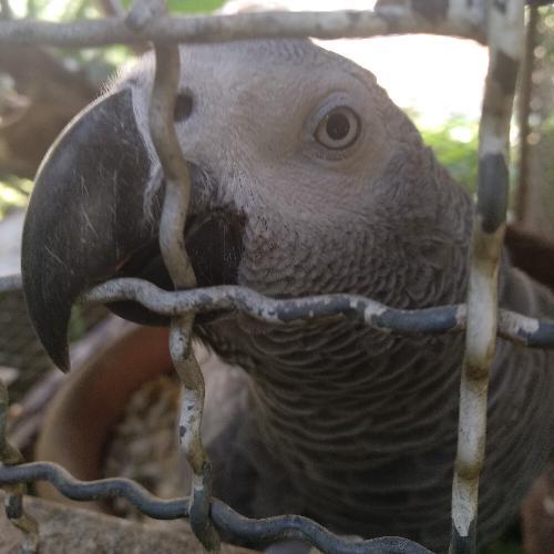 สมาชิกหมายเลข 5191681