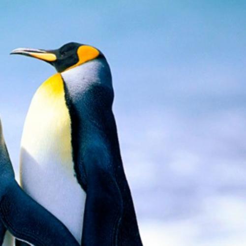 สมาชิกหมายเลข 967724