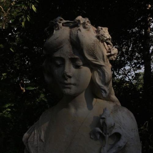 สมาชิกหมายเลข 5101218