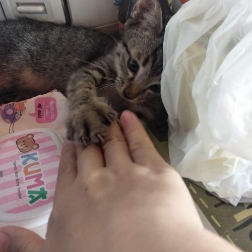 มากกว่าเพื่อน