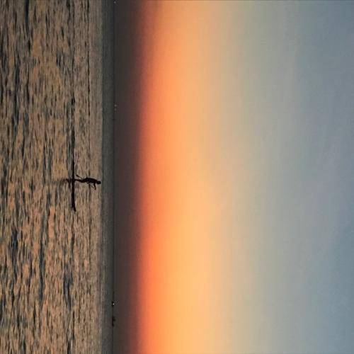 สมาชิกหมายเลข 5271891