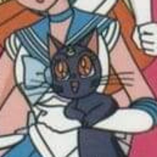 สมาชิกหมายเลข 6062155