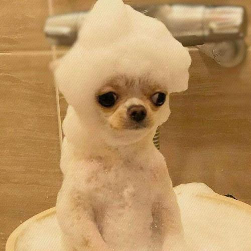 สมาชิกหมายเลข 6798095