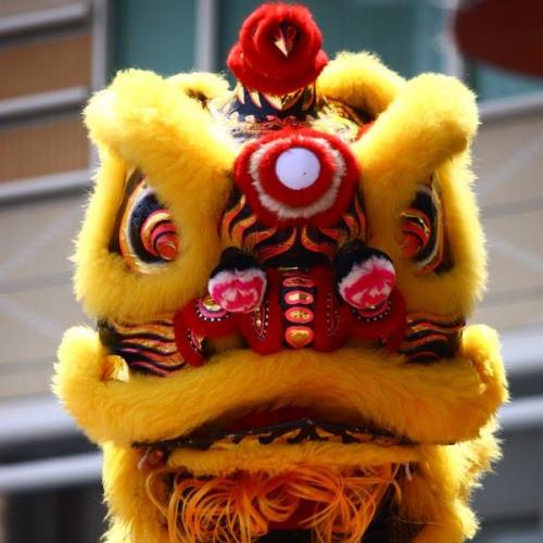 สมาชิกหมายเลข 851281