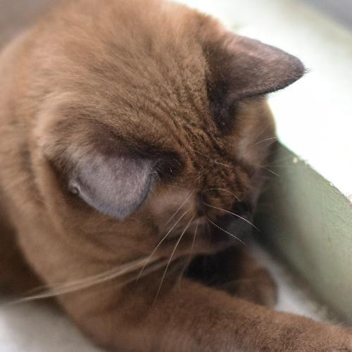 สมาชิกหมายเลข 882138