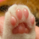 สมาชิกหมายเลข 4715903