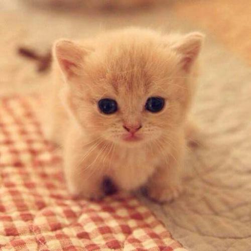 สมาชิกหมายเลข 3281858