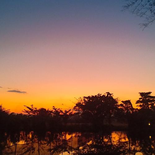 สมาชิกหมายเลข 5191938