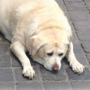 สมาชิกหมายเลข 881253