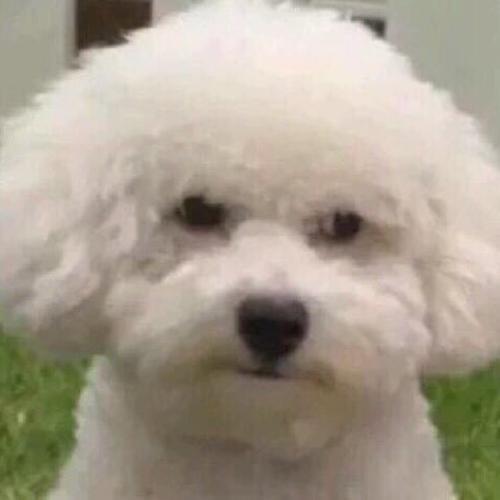 สมาชิกหมายเลข 5318853