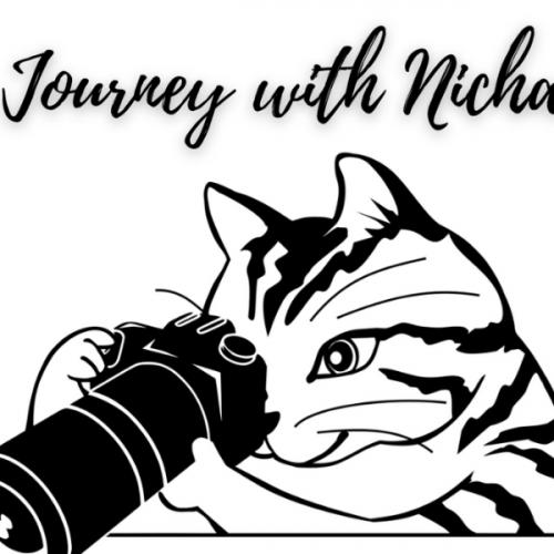 สมาชิกหมายเลข 1517186