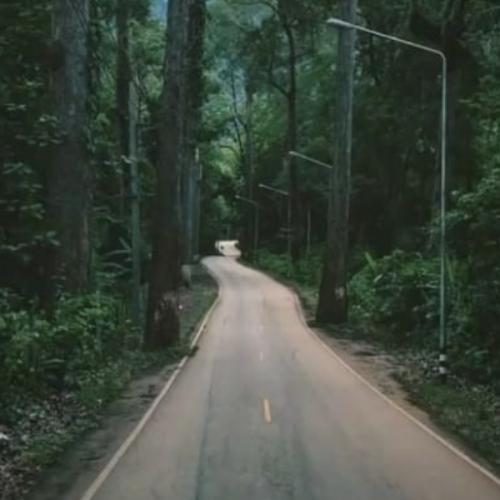 สมาชิกหมายเลข 3624932