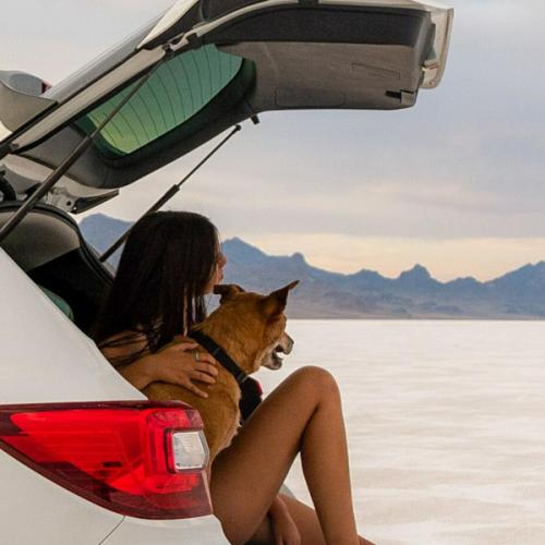 สมาชิกหมายเลข 6160158