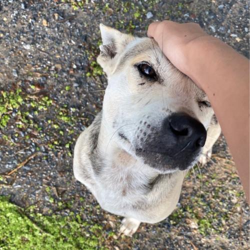 สมาชิกหมายเลข 6186764