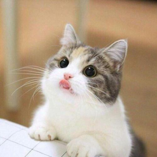 สมาชิกหมายเลข 6799113