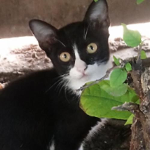 สมาชิกหมายเลข 6748577