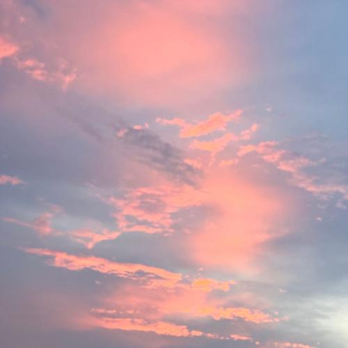 สมาชิกหมายเลข 4526713