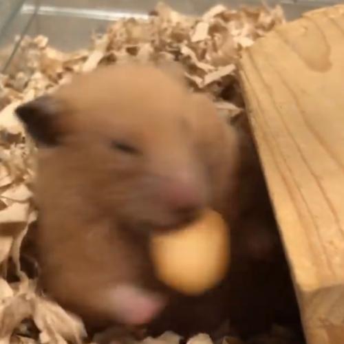 สมาชิกหมายเลข 8490449