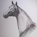 สมาชิกหมายเลข 2154016