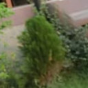 สมาชิกหมายเลข 4809805