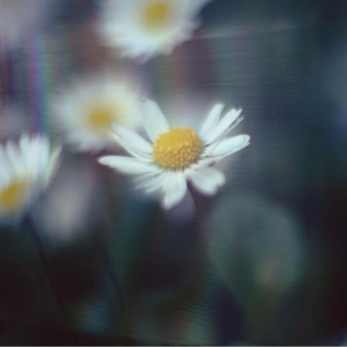 สมาชิกหมายเลข 4810119