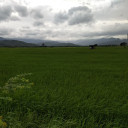 ถูๆไถๆไปวันๆ