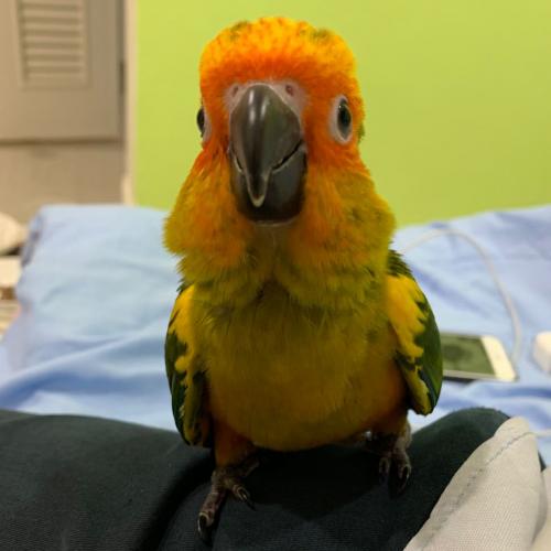 สมาชิกหมายเลข 5233052