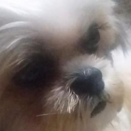 สมาชิกหมายเลข 5460736