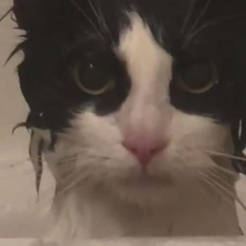 สมาชิกหมายเลข 5957112