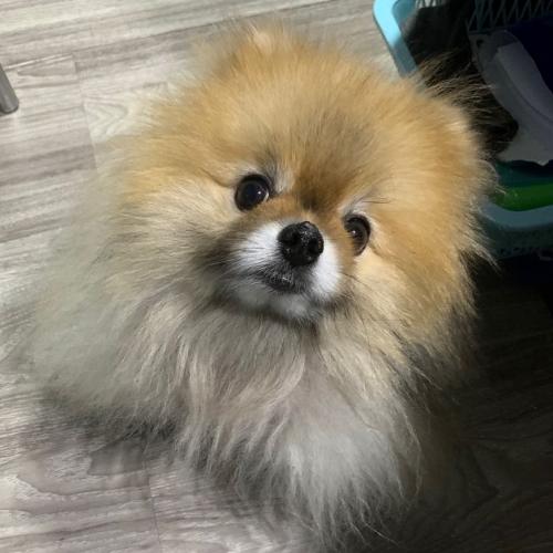 สมาชิกหมายเลข 6799926