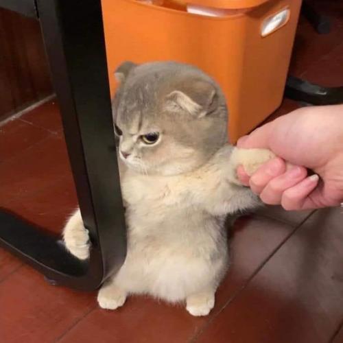 สมาชิกหมายเลข 6800230