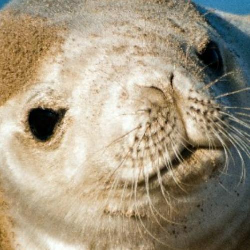 สมาชิกหมายเลข 5530008