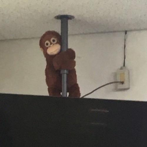 สมาชิกหมายเลข 7571384