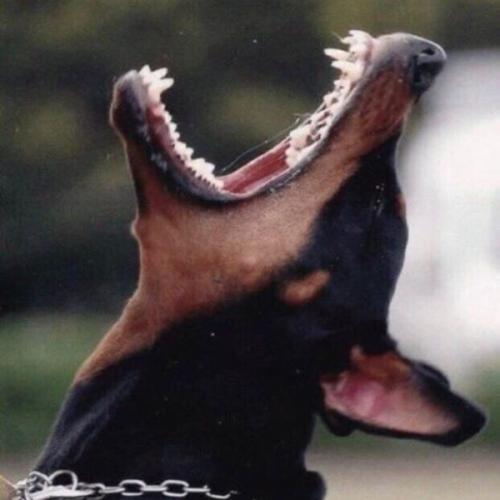 สมาชิกหมายเลข 6537581