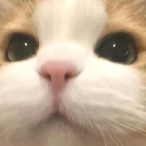 สมาชิกหมายเลข 7343621