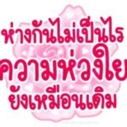 สมาชิกหมายเลข 8491246