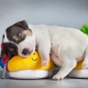 สมาชิกหมายเลข 3461425