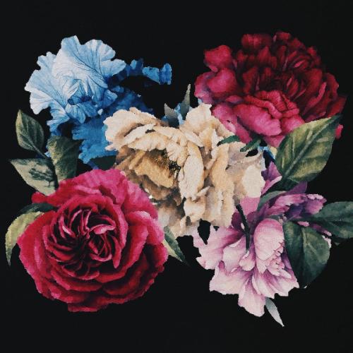 สมาชิกหมายเลข 3013133