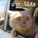 สมาชิกหมายเลข 4475525
