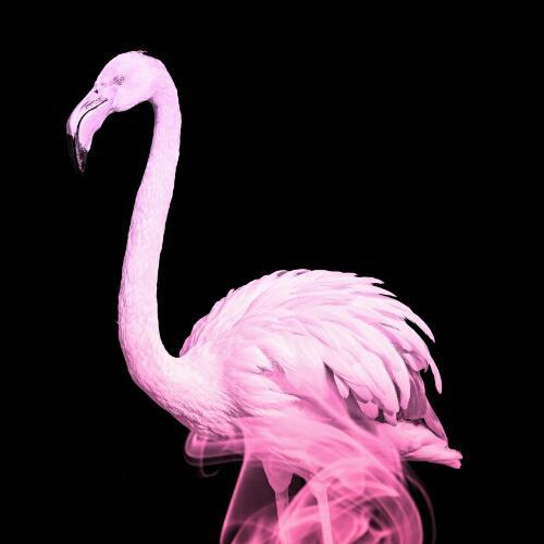 สมาชิกหมายเลข 4809775